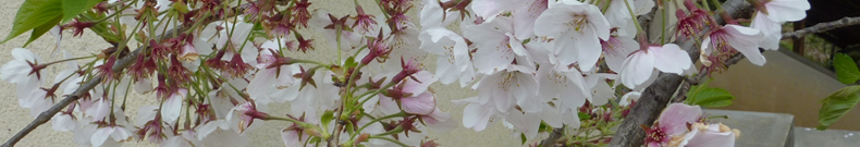 製氷機について話題提供