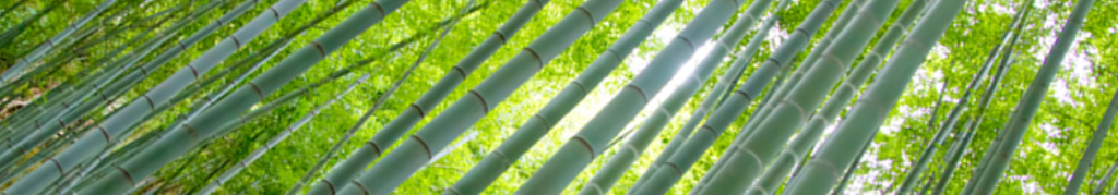 柿に興味があります！！